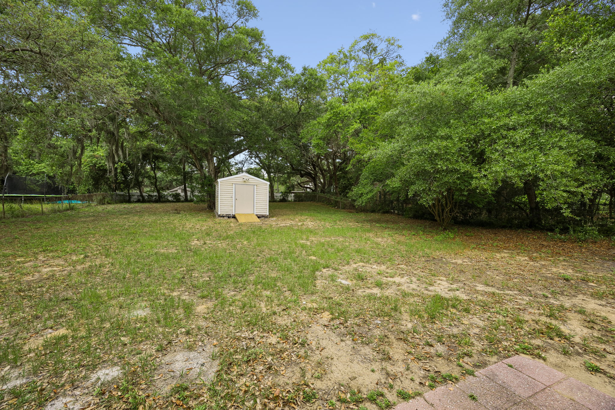 Backyard