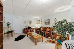  Photo 49