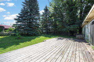  Photo 49