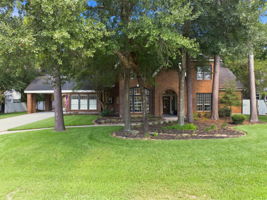  Photo 44