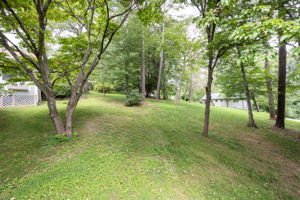  Photo 39