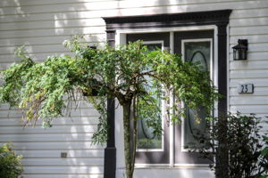  Photo 7