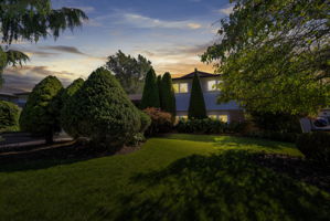  Photo 0