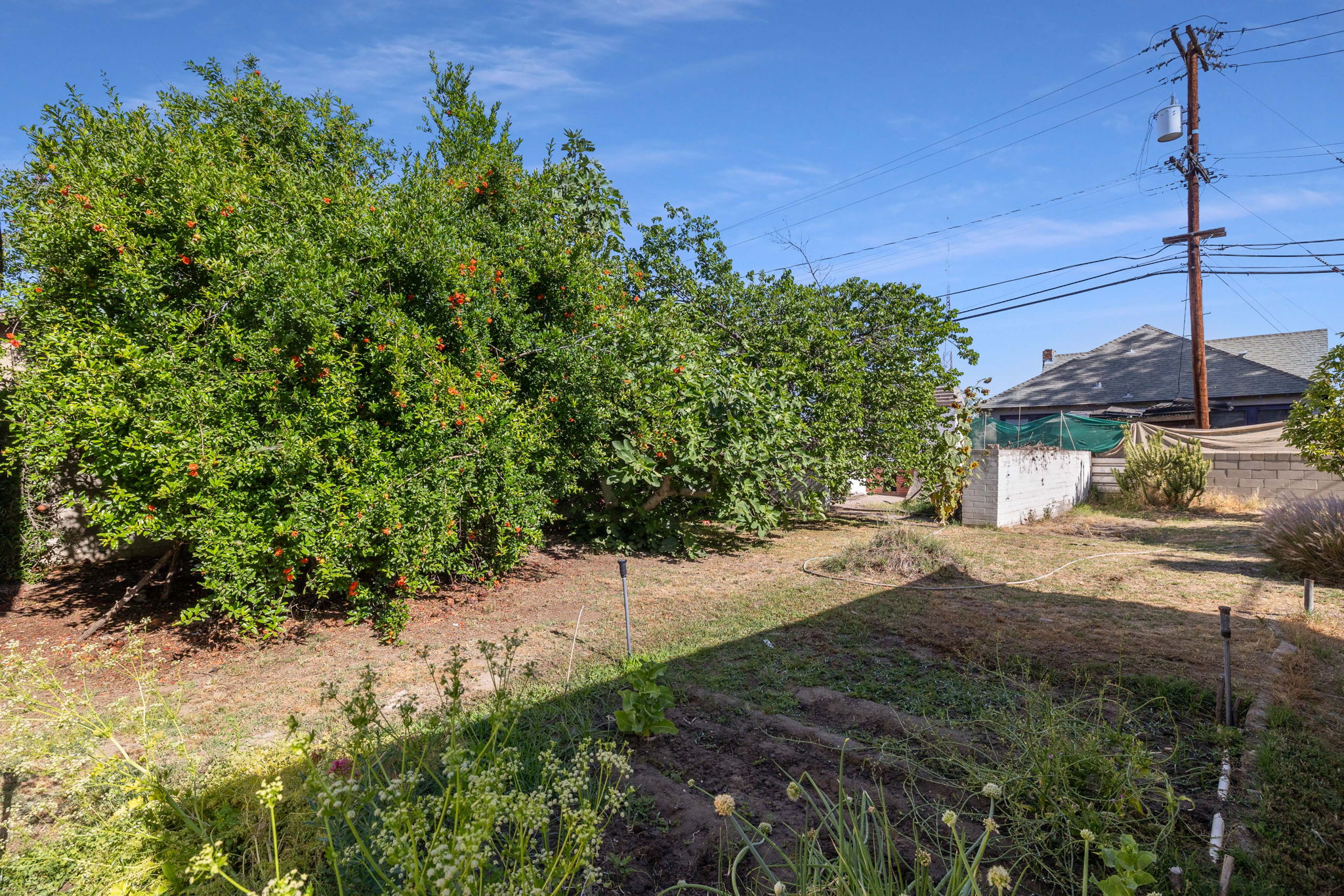  Photo 41