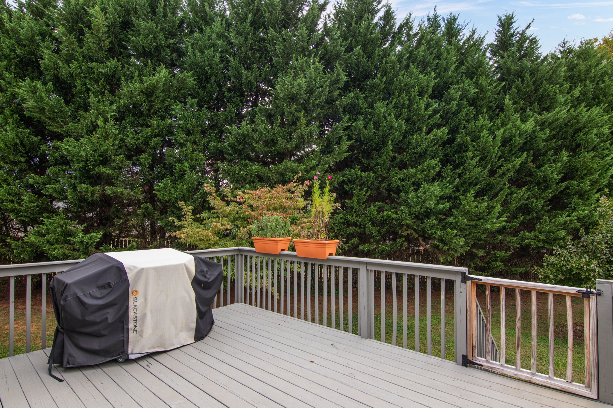 230 Autumn Gate Dr-27