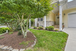 Front Yard