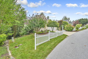 Front Yard