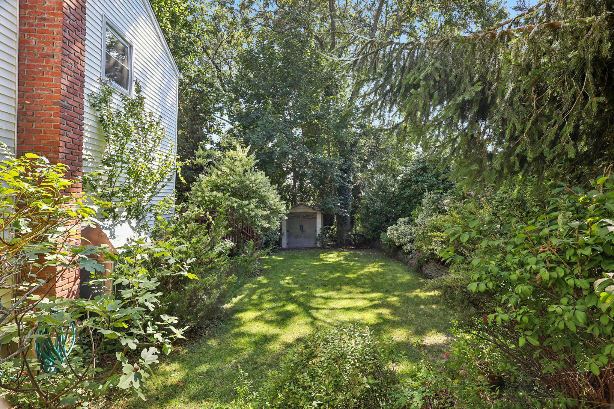 Cook St-S1309-042