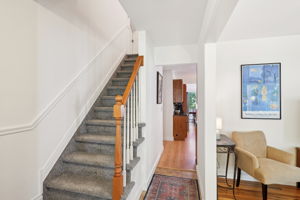 Cook St-S1309-006
