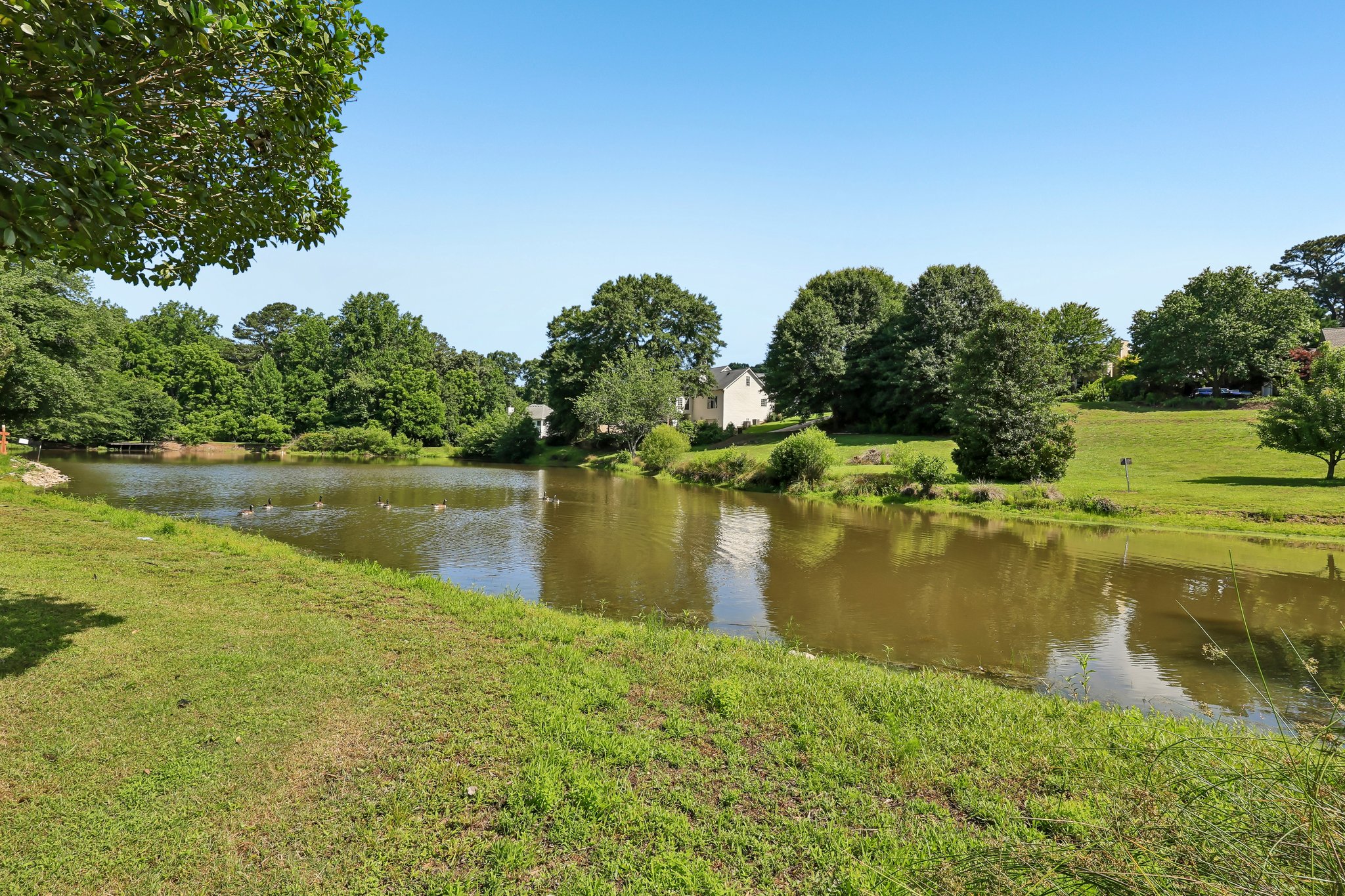 County Line-Auburn Rd-S0206-037.jpg