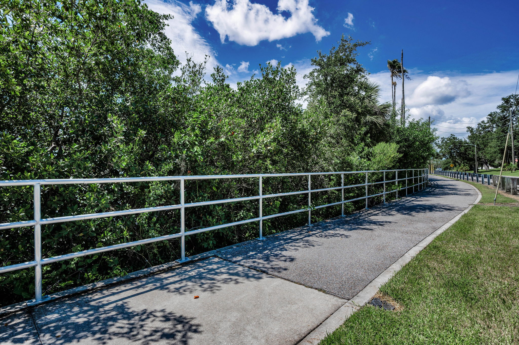 22-Ream Wilson Trail