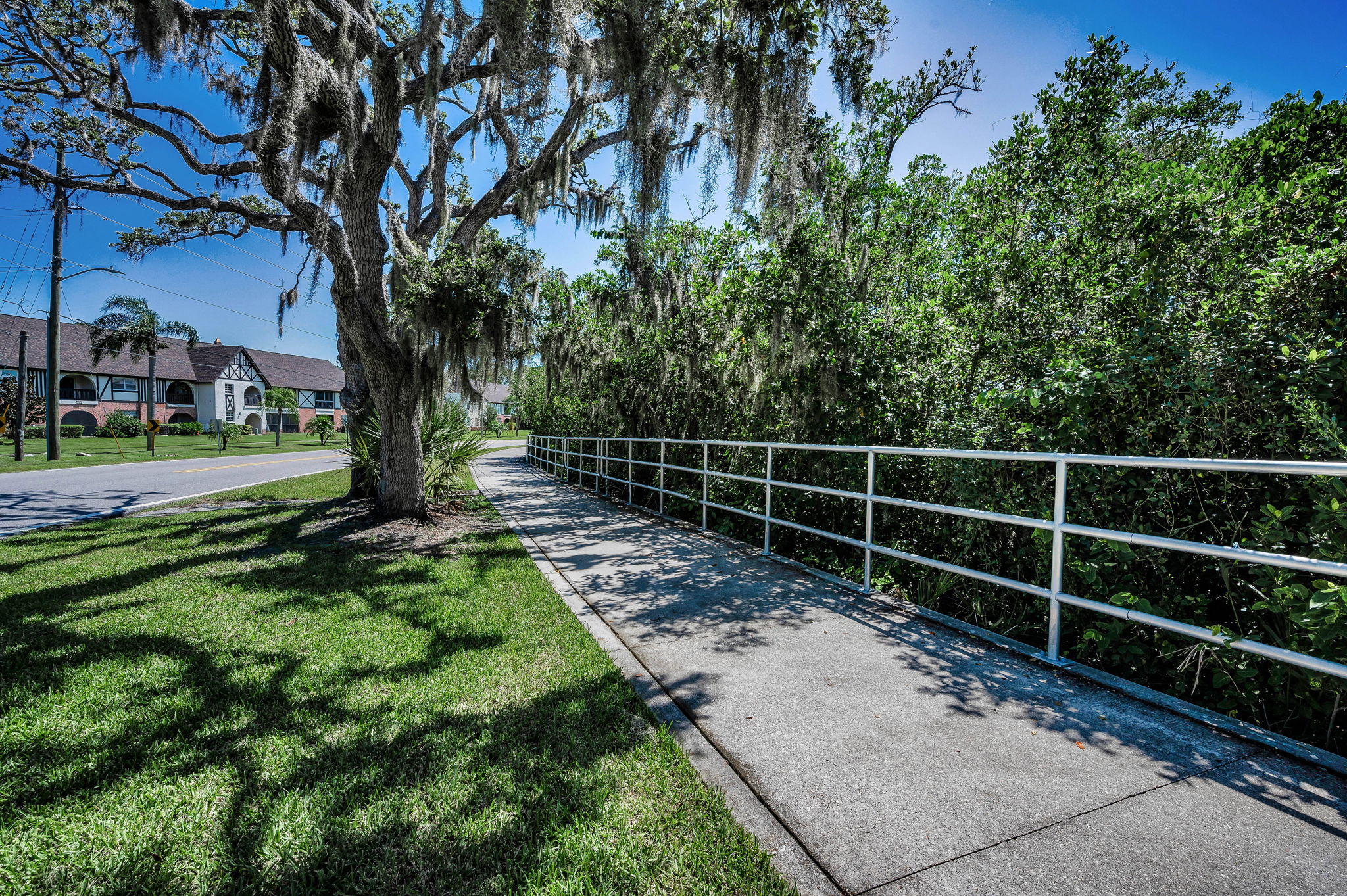25-Ream Wilson Trail