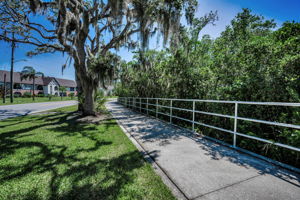 25-Ream Wilson Trail