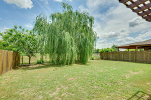  Photo 49