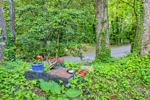  Photo 45