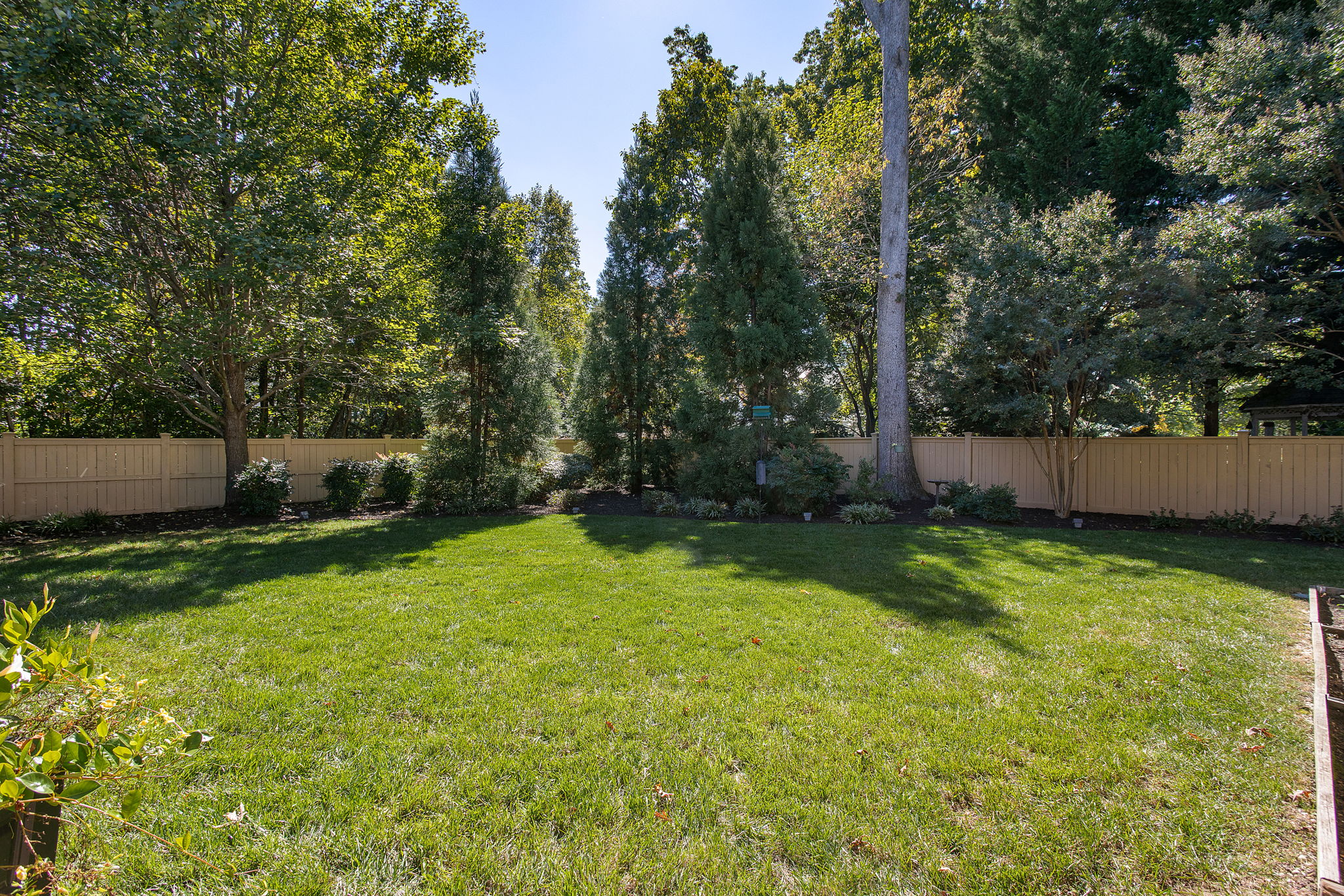 52-Backyard