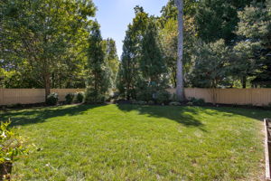 52-Backyard