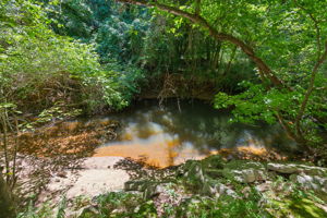  Photo 31