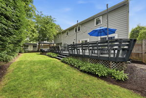 Rear yard