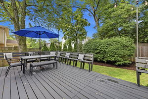 Gorgeous rear deck and yard