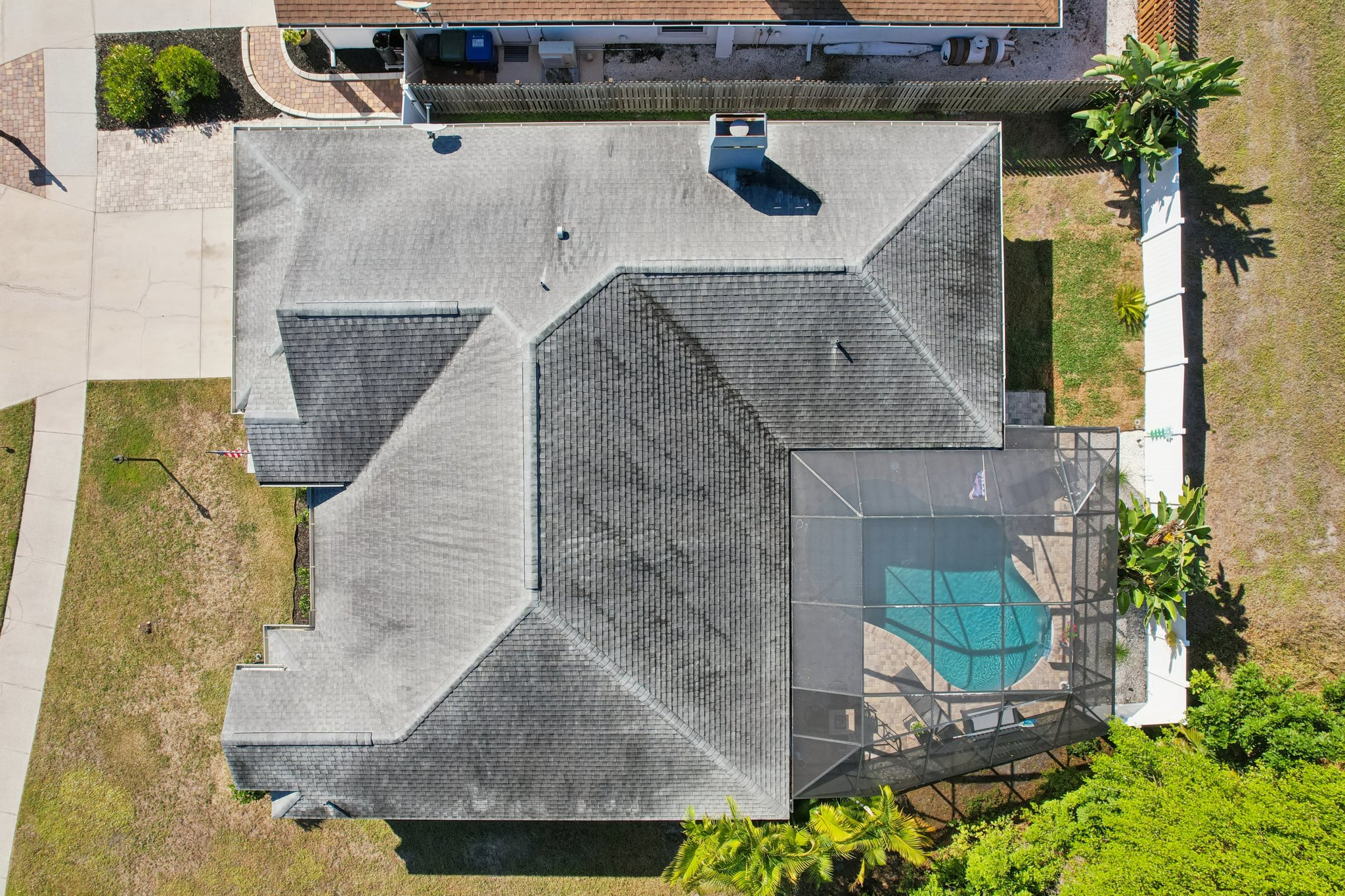 Seattle Slew Dr-S0901-048.jpg