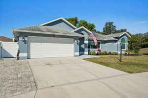 Seattle Slew Dr-S0901-002.jpg