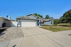 Seattle Slew Dr-S0901-003.jpg