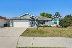 Seattle Slew Dr-S0901-004.jpg