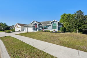 Seattle Slew Dr-S0901-005.jpg