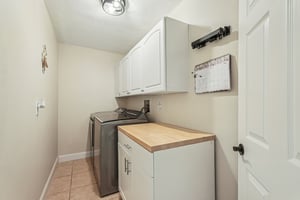 Seattle Slew Dr-S0901-020.jpg