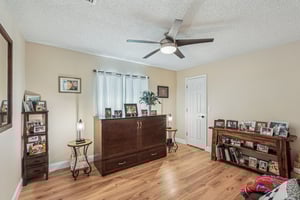 Seattle Slew Dr-S0901-021.jpg