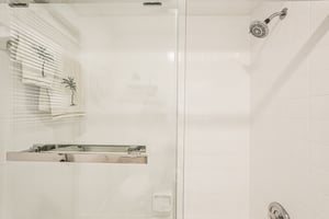 Seattle Slew Dr-S0901-028.jpg