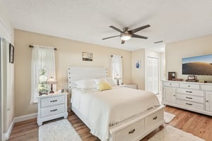 Seattle Slew Dr-S0901-029.jpg