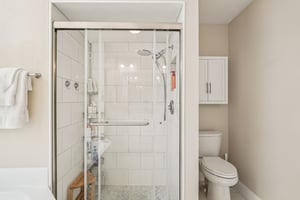 Seattle Slew Dr-S0901-033.jpg