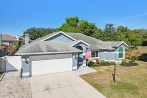 Seattle Slew Dr-S0901-042.jpg