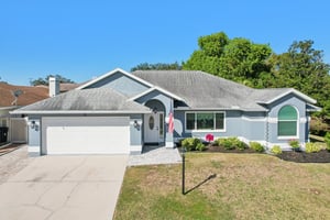 Seattle Slew Dr-S0901-045.jpg