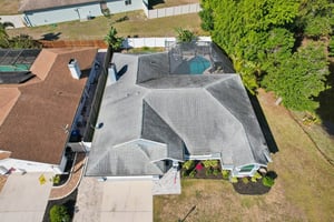 Seattle Slew Dr-S0901-047.jpg