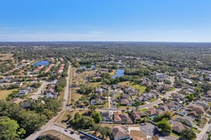 Seattle Slew Dr-S0901-050.jpg