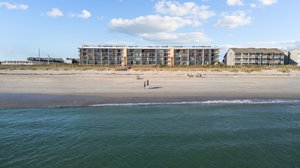Large Sandy Shoreline