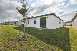 Orlando - Deer Run - 2307 White Tail Street - 028