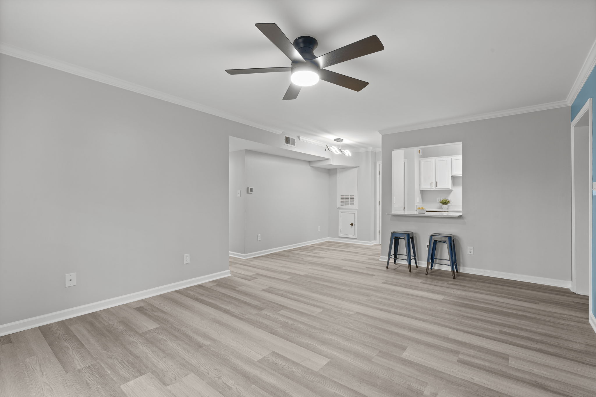 Foyer/Dining/Living Room