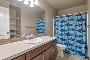 Great counter space in the main bath