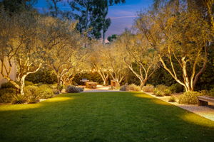 10 - Back Yard  (Twilight)