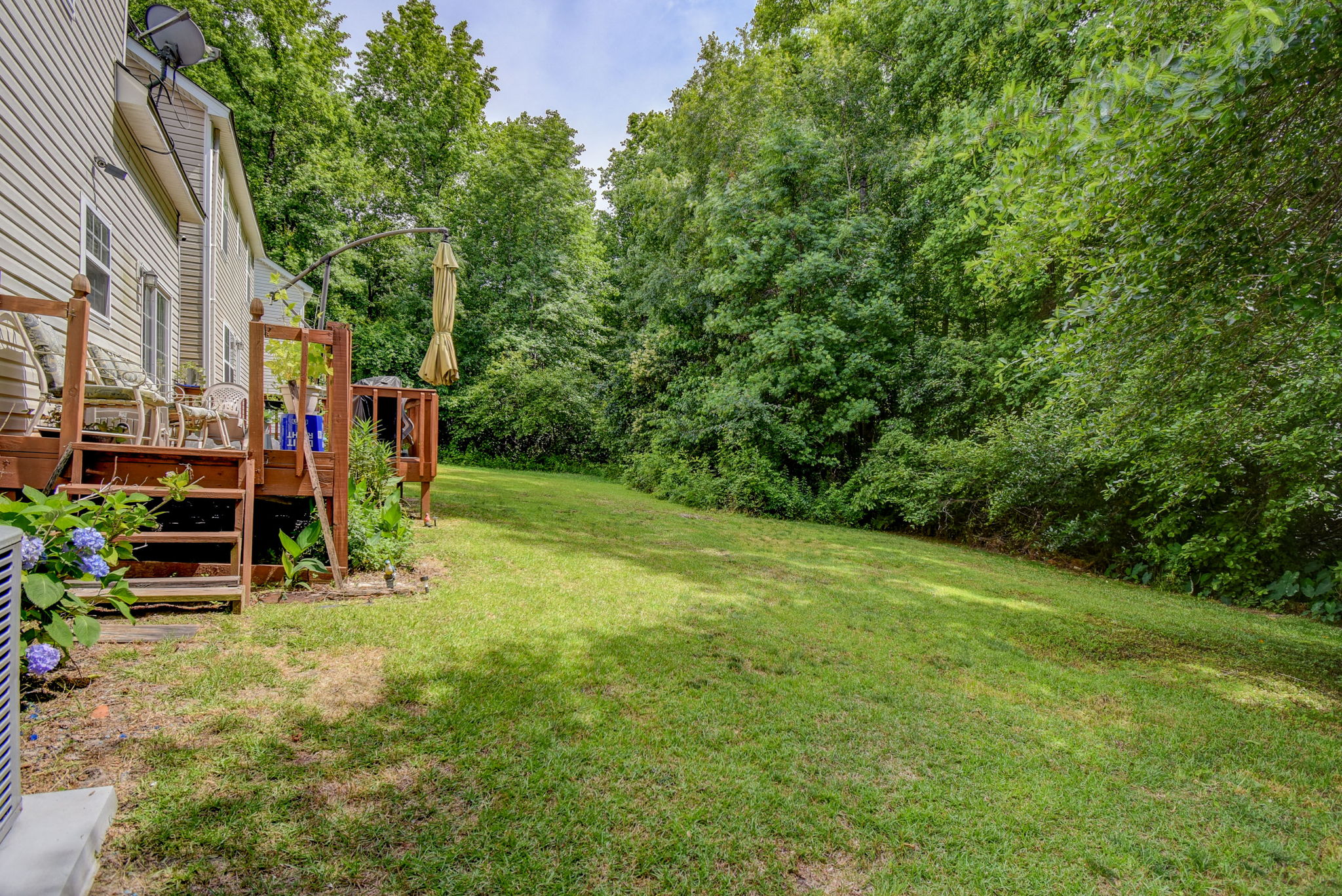 231 Cinnamon Hills Ln, Lexington, SC 29072 Design Eyes Photography