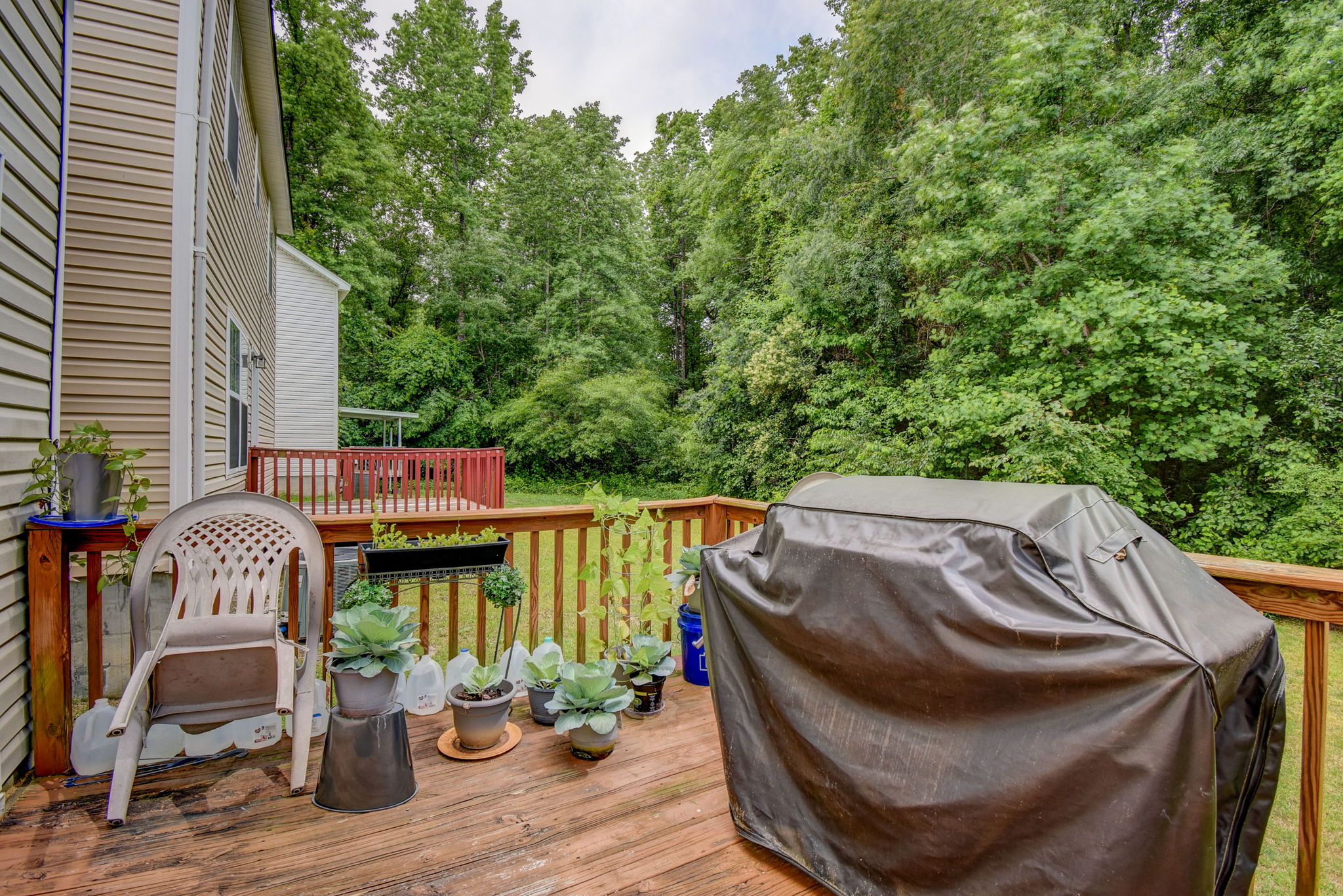 231 Cinnamon Hills Ln, Lexington, SC 29072 Design Eyes Photography