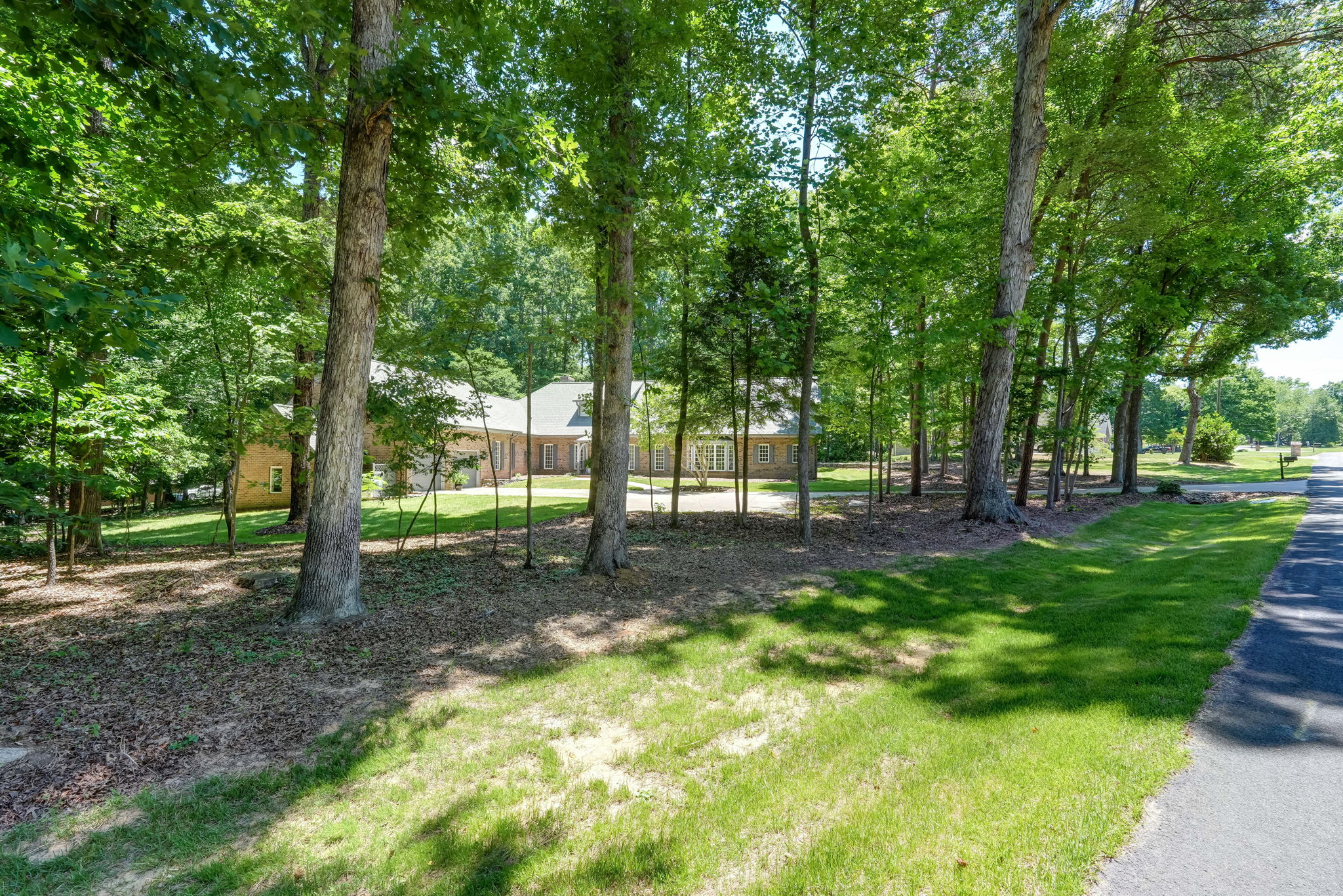 Front Yard