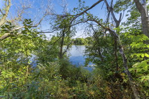  Photo 50
