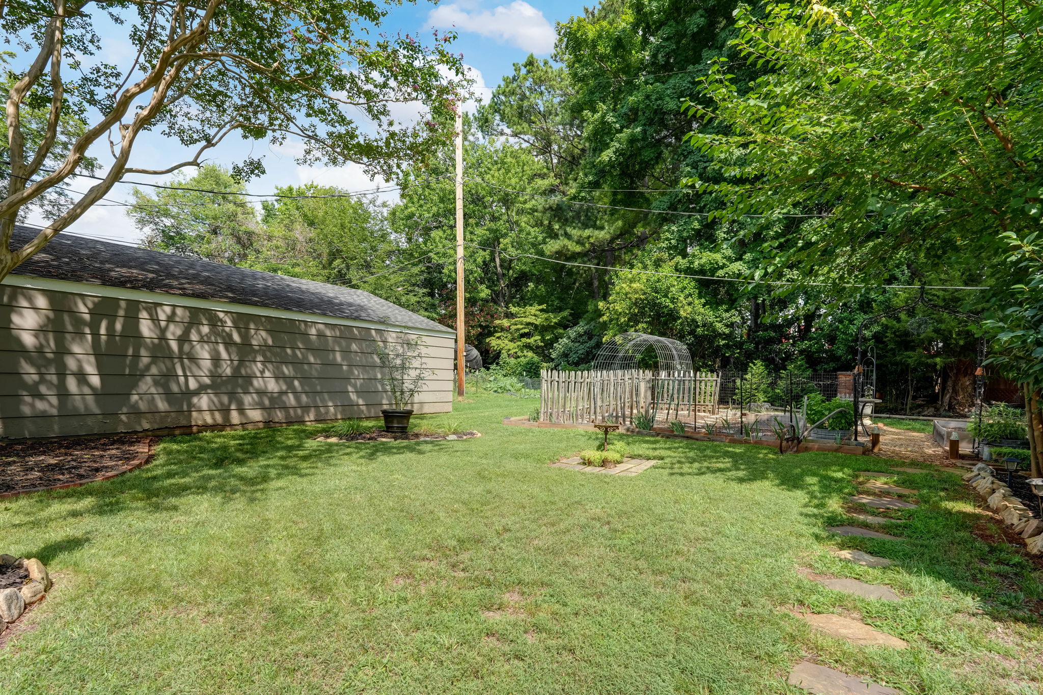 Back Yard