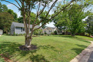 Front Yard