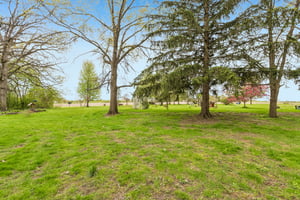 Murray Rd-S0105-054.jpg